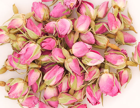 Rose Bud
